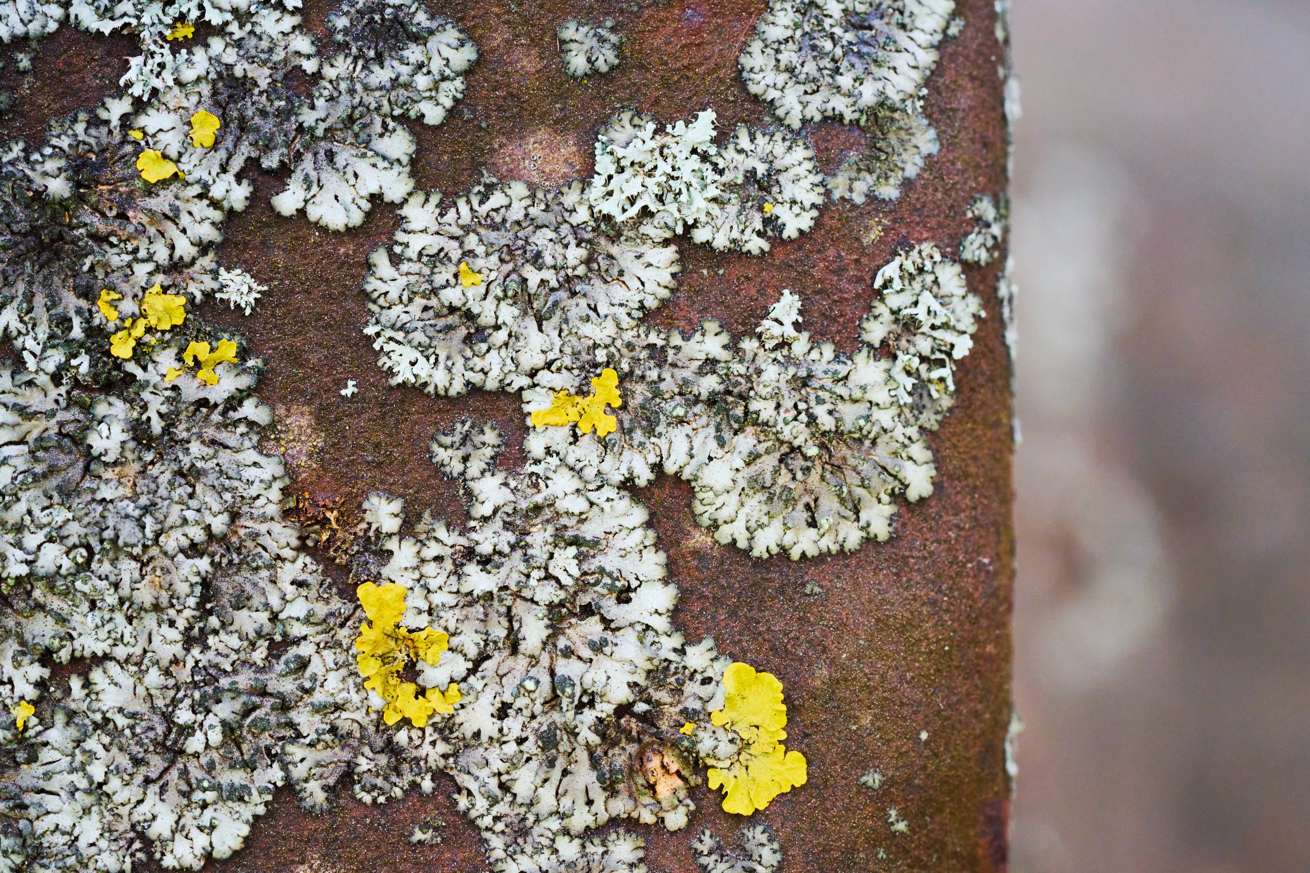 2026 03 07 Landschaftspark Nord 0306